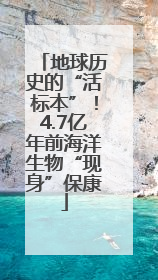 地球历史的“活标本”！4.7亿年前海洋生物“现身”保康